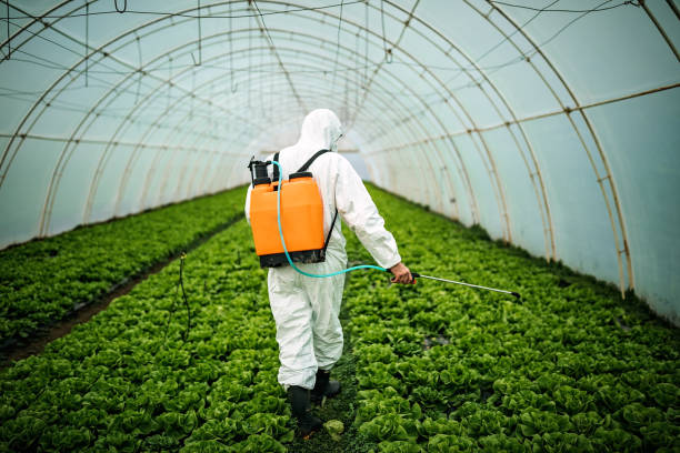 Reliable Zephyrhills South, FL Pest Control Solutions