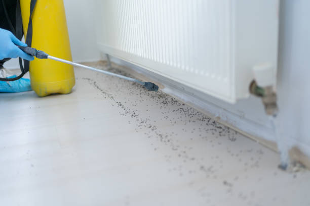 Best Affordable Pest Control Services  in Zephyrhills South, FL